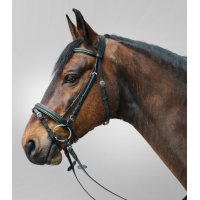 Bridon Star Diamond Negro