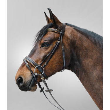 Bridon Star Diamond Marrón / oro