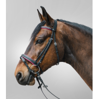 Bridon Star Diamond Fucsia