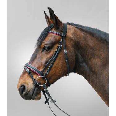 Bridon Star Diamond Fucsia Bridon Star Diamond Fucsia