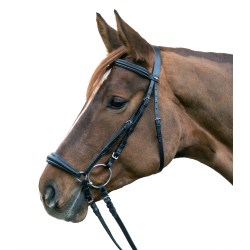 Bridon Star Hannover Negro