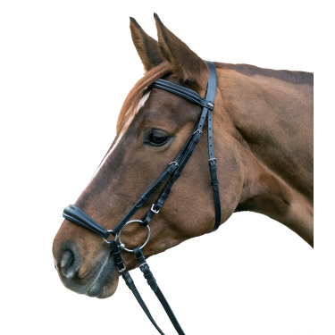 Bridon Star Hannover Negro