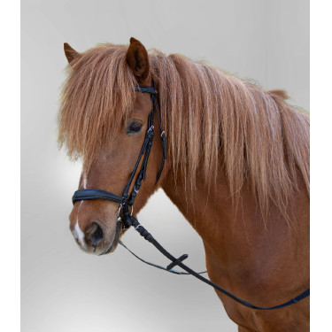 Bridon Star Hannover Negro