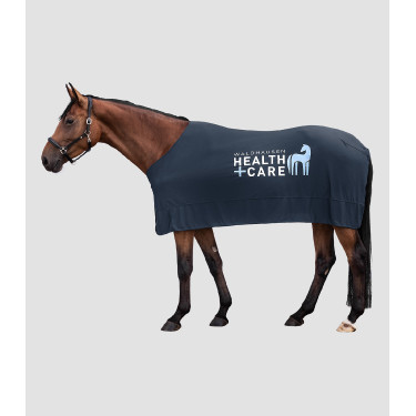 Capa refrescante Waldhausen Health + Care Ice Layer Capa refrescante Waldhausen Health + Care Ice Layer