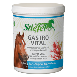 Gastro Vital Bota