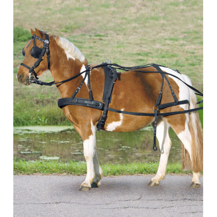 Arnés sintético simple Star pony shetland