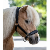 Cabezada de cuero Star Diamond Negro / plata Cabezada de cuero Star Diamond Negro / plata