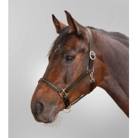 Cabezada de cuero Star Diamond Marrón / oro