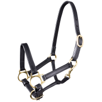 Cabezada de cuero Star potro Negro