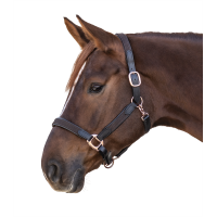 Cabezada Star Mix Marrón / oro rosado