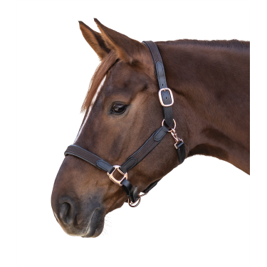 Cabezada Star Mix Marrón / oro rosado