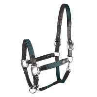 Cabezada Star Mix Verde abeto / plata