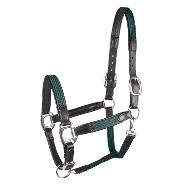 Cabezada Star Mix Verde abeto / plata