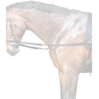 Riendas fijas de nailon Star Negro