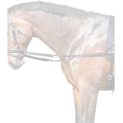 Riendas fijas de nailon Star Negro