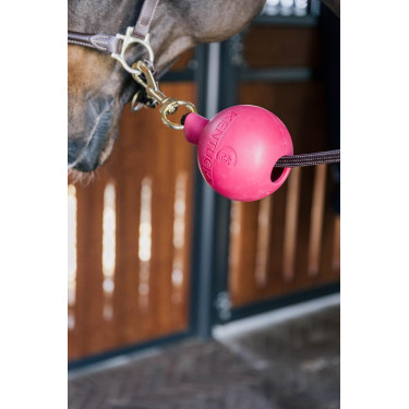 Bola de protección de enganche Kentucky Rosa pálido Bola de protección de enganche Kentucky Rosa pálido