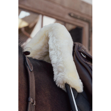 Tapiz Skin Friendly Dressage Dy'on Tapiz Skin Friendly Dressage Dy'on