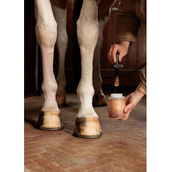 Aceite para Pies Shine Grooming Deluxe by Kentucky Natural Marrón Aceite para Pies Shine Grooming Deluxe by Kentucky Natural Marrón