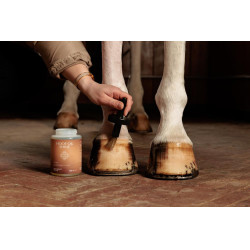 Aceite para Pies Shine Grooming Deluxe by Kentucky Natural Marrón Aceite para Pies Shine Grooming Deluxe by Kentucky Natural Marrón