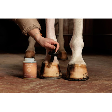 Aceite para Pies Shine Grooming Deluxe by Kentucky Aceite para Pies Shine Grooming Deluxe by Kentucky