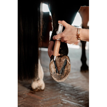 Pasta de zinc Equi Hoof Grooming Deluxe by Kentucky Pasta de zinc Equi Hoof Grooming Deluxe by Kentucky