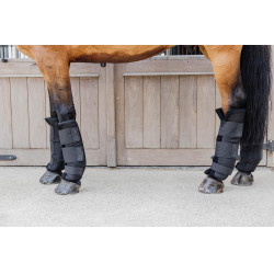 Protectores de cuadra PROtect Classic posteriores Kentucky Negro Protectores de cuadra PROtect Classic posteriores Kentucky Negro