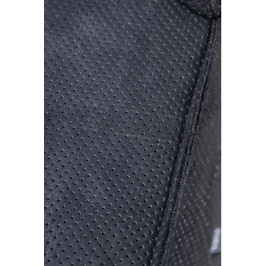 Protectores de Transporte 3D Spacer Delanteros Kentucky Protectores de Transporte 3D Spacer Delanteros Kentucky
