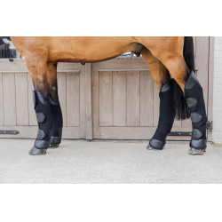 Protectores de Transporte 3D Spacer Delanteros Kentucky Negro