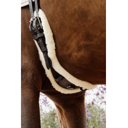 Cincha Corta Anatómica oveja Kentucky Negro