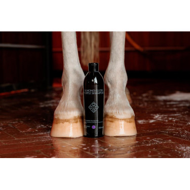 Champú Morado con Almendra Grooming Deluxe by Kentucky Champú Morado con Almendra Grooming Deluxe by Kentucky