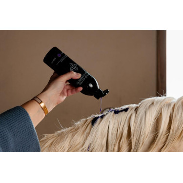 Champú Morado con Almendra Grooming Deluxe by Kentucky Champú Morado con Almendra Grooming Deluxe by Kentucky