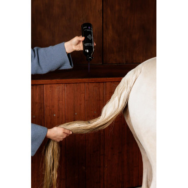 Champú Morado con Almendra Grooming Deluxe by Kentucky Champú Morado con Almendra Grooming Deluxe by Kentucky
