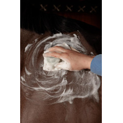 Champú Sólido Grooming Deluxe by Kentucky Almendra Marrón