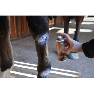 Spray de Zinc Grooming Deluxe de Kentucky Spray de Zinc Grooming Deluxe de Kentucky