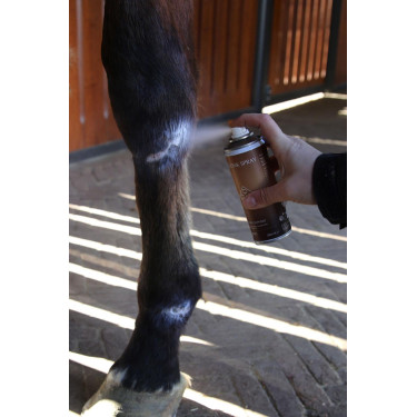 Spray de Zinc Grooming Deluxe de Kentucky Spray de Zinc Grooming Deluxe de Kentucky