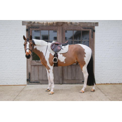 Manta de Montura Kentucky Melange Jumping Beige