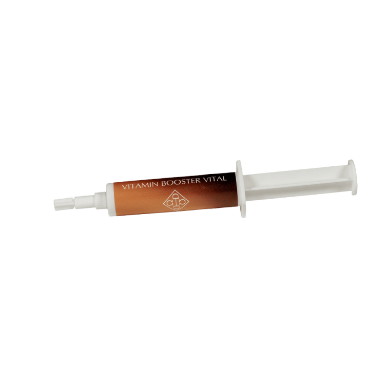 Vitamin Booster Vital Grooming Deluxe de Kentucky