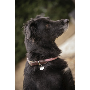 Collar para perro Penelope Billie Collar para perro Penelope Billie