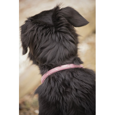 Collar para perro Penelope Billie Collar para perro Penelope Billie