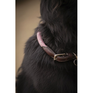 Collar para perro Penelope Billie Collar para perro Penelope Billie