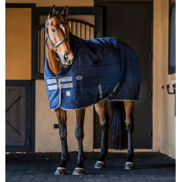 Manta de cuadra Horseware Rhino 350g VL