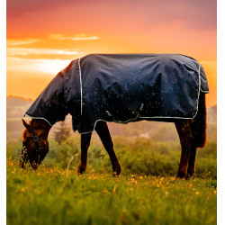 Manta Horseware Amigo Ripstop 900D Plus Poney Turnout 200g Marine witney Azul marino Manta Horseware Amigo Ripstop 900D Plus Poney Turnout 200g Marine witney Azul marino