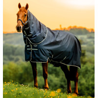 Manta Horseware Amigo Ripstop 900D Plus Poney Turnout 200g Negro / azul clásico