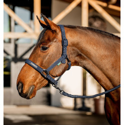 Cabezada y ramal Amigo Horseware Marino Azul marino