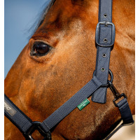 Cabezada y ramal Amigo Horseware Marino Azul marino