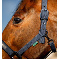 Cabezada y ramal Amigo Horseware Marino Azul marino