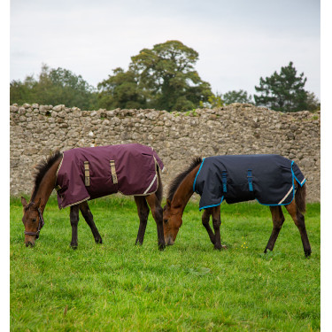 Manta para potro Horseware Amigo Ripstop Foal 50g Manta para potro Horseware Amigo Ripstop Foal 50g