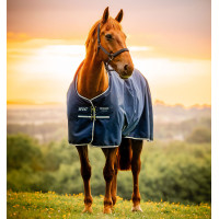Manta Horseware Amigo Ripstop 900D Poney Turnout 100g Negro / azul clásico