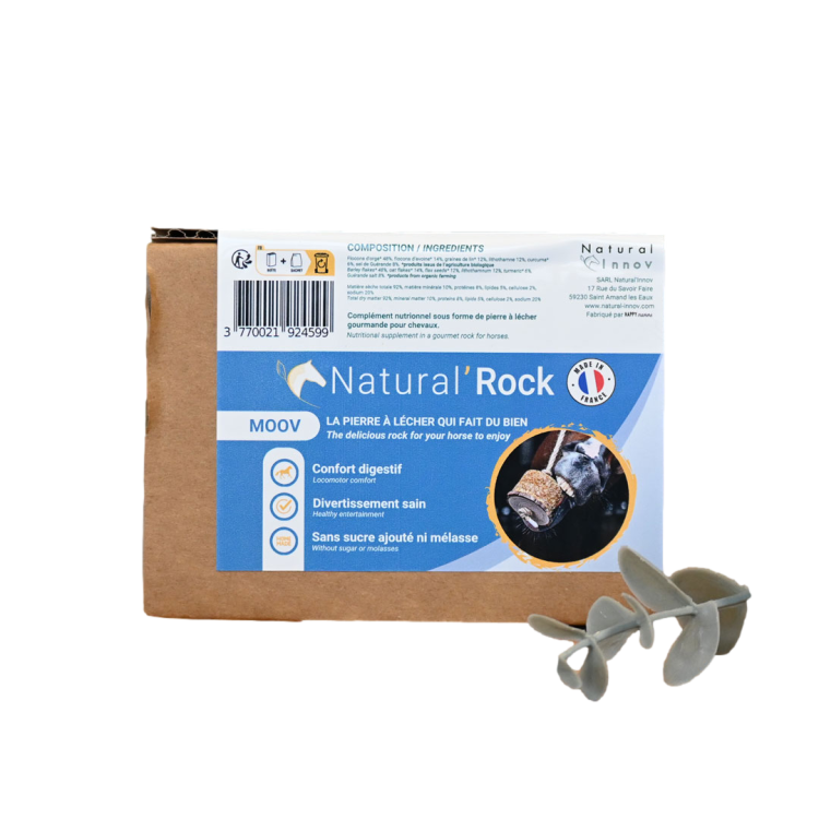 Natural'Rock Moov Natural'Innov