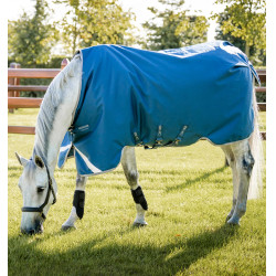Manta Horseware Ionic Therapy Turnout 100g Bleu imperial / argent /Marine Azul